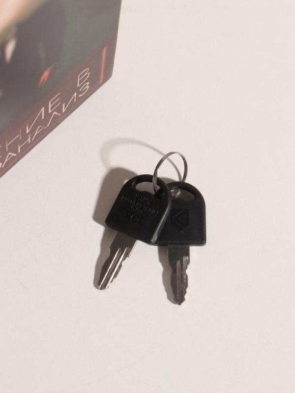 Сейф-книга дерево кожзам "Зигмунд Фрейд. Введение в психоанализ" 21х13х5 см