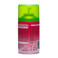 Освежитель воздуха &laquo;Green collection by Provence&raquo;: &laquo;Фруктовый десерт&raquo; универсальный сменный баллон