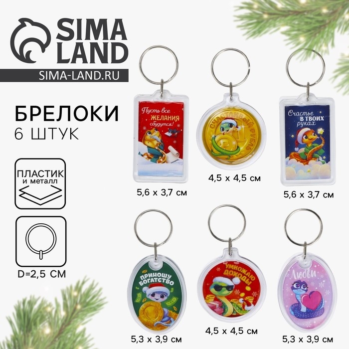 Брелок новогодний, для ключей &laquo;Счастье в твоих руках&raquo; микс из 6 шт