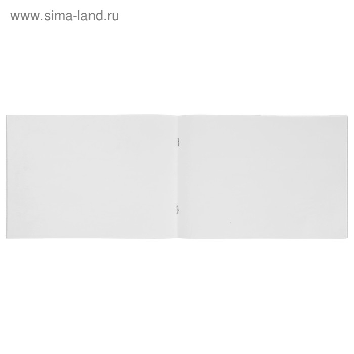 Альбом для рисования А4, 40 листов на скрепке "Лес в тумане", обложка мелованный картон, внутренний блок офсет 100 г/м&sup2;