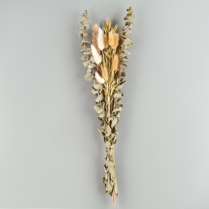 Сухоцветы &laquo;Мечта&raquo;, набор из 4 видов, 48 &times; 16 &times; 6 см