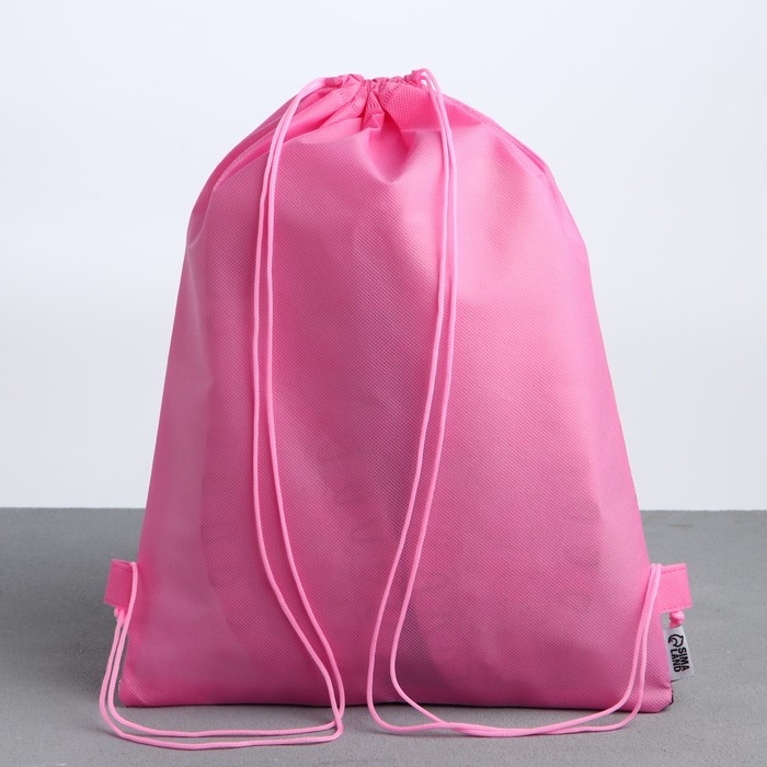 Мешок для обуви &laquo;Школьницы&raquo; полиэстер, размер 30 х 40 см