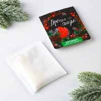 Аромасаше новогоднее на вешалке &laquo;Новый год: Время волшебства&raquo;, морозная свежесть, 8 х 15,5 см