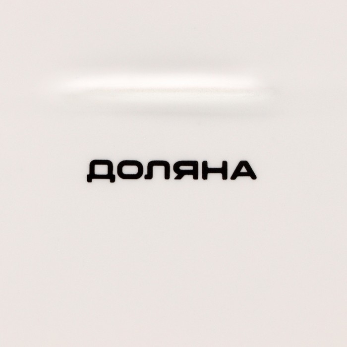 Блюдо фарфоровое сервировочное Доляна &laquo;Коты-аристократы&raquo;, 22&times;18 см, цвет белый