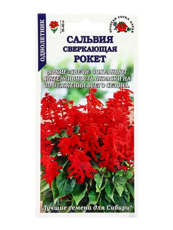 Семена Сальвия Рокет сверкающая красная /Сотка/ 0,1 г/*1500