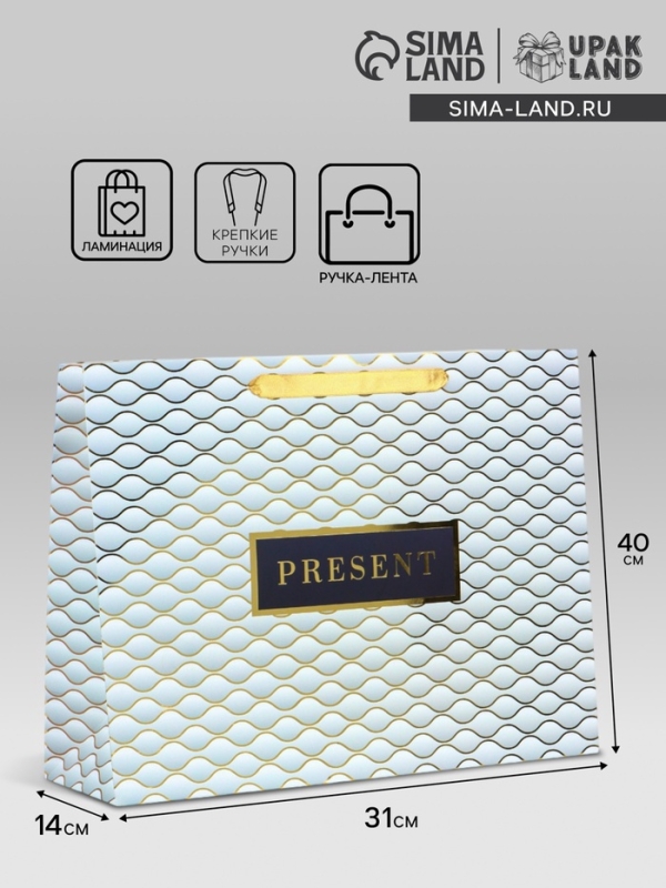 Пакет подарочный ламинированный горизонтальный &laquo;Present&raquo;, L 40 &times; 31 &times; 14 см