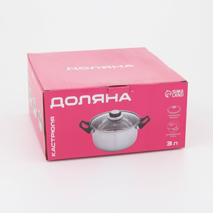 Кастрюля из нержавеющей стали Доляна &laquo;Чёрная ночь&raquo;, 3 л, с крышкой