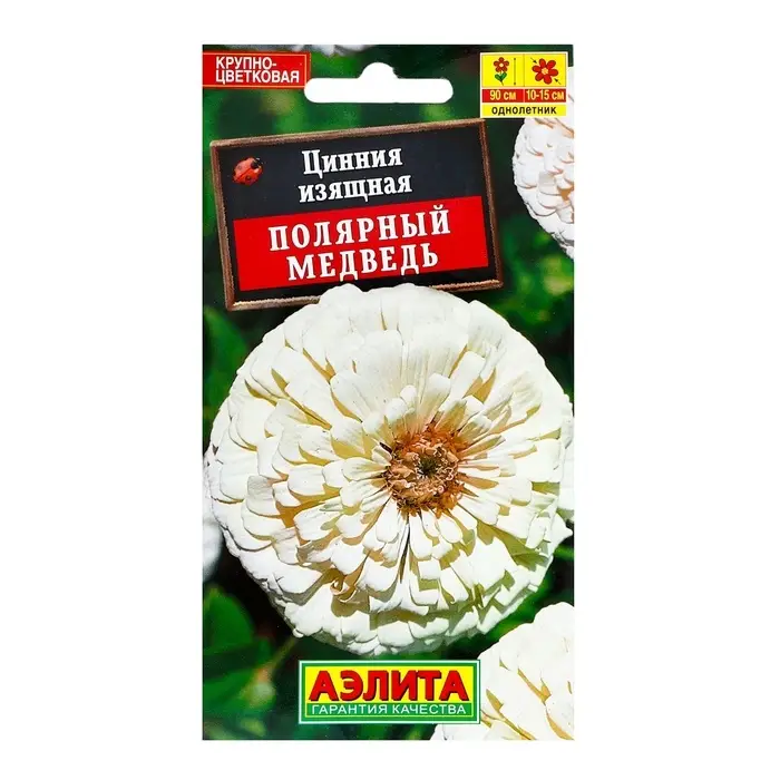 Семена цветов Цинния "Полярный медведь"