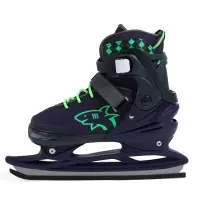 Коньки раздвижные BlackAqua, р. 39-42, для фитнеса, синие, зелёные