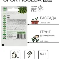 Семена Огурец "Миг", раннеспелый, пчелоопыляемый, 0,3 г  серия ХИТ х3