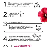 Семена   Шток-роза Индийская весна, смесь сортов , 0,3г