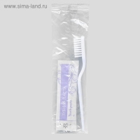 Набор из 5 Travel (Бритвенный набор, Зубной набор, Шампунь саше, Мыло, Расческа)