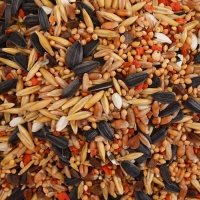 Корм "Пижон" для средних попугаев, с витаминами и минералами, 400 г