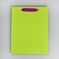 Пакет подарочный двухцветный, упаковка, &laquo;Салатовый-сиреневый&raquo;, MS 18 х 23 х 10 см