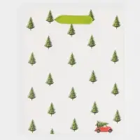 Пакет подарочный новогодний ламинированный &laquo;Ёлочки&raquo;, MS 18 х 23 х 10 см