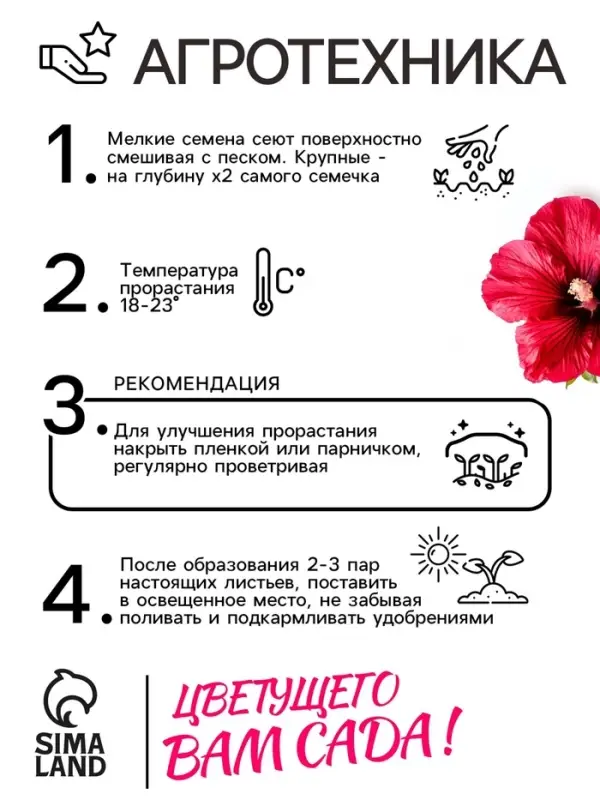 Семена   Шток-роза Индийская весна, смесь сортов , 0,3г