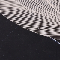 Набор салфеток сервировочных на стол Доляна &laquo;Матера&raquo;, 4 шт, 38&times;38 см, белый