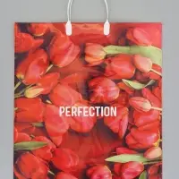 Пакет "Совершенство", полиэтиленовый с пластиковой ручкой, 38 х 45 + 3 см, 90 мкм