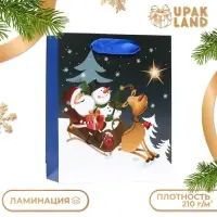 Пакет ламинированный &laquo;Сказочная ночь&raquo; 11.5&times;14.5&times;6 см