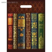 Пакет &laquo;Книги&raquo; полиэтиленовый с вырубной ручкой, 50 мкм, 30&times;40 см