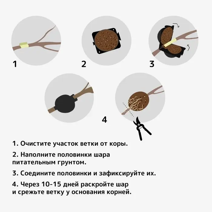 Шар для укоренения растений, d = 5,5 см, под ветку 0,5 см, чёрный, Greengo