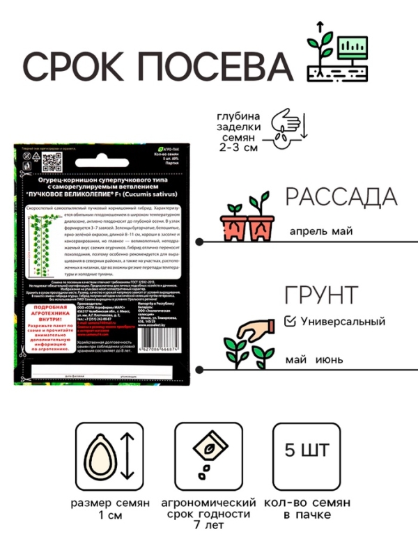 Семена Огурец "Пучковое великолепие" F1 скороспелый, пучковый, партенокарпический, 5 шт