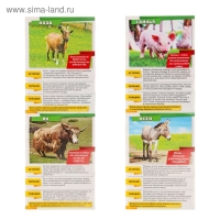 Мини-энциклопедии &laquo;Мир животных&raquo;, 8 шт. по 20 стр.