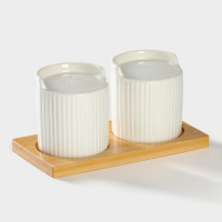 Набор фарфоровый для специй на подставке из бамбука BellaTenero &laquo;Эстет. Грани&raquo;, 2 предмета: солонка 100 мл, перечница 100 мл, цвет белый