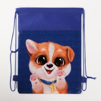 Мешок для обуви &laquo;Собака&raquo; 30 х 40 см