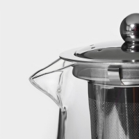 Чайник стеклянный заварочный с металлическим ситом Magistro &laquo;Дарси&raquo;, 950 мл