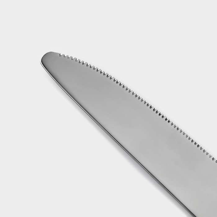 Столовые приборы из нержавеющей стали &laquo;Стандарт&raquo;, картонная коробка, толщина 2 мм, 36 предметов, цвет серебряный