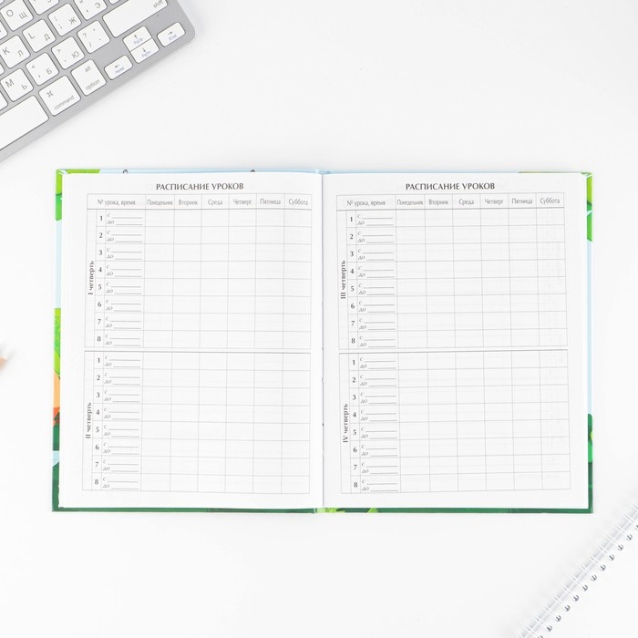 Дневник школьный 1-4 класс &laquo;1 сентября:Пират&raquo;, твердая обложка 7БЦ, глянцевая ламинация, 48 листов