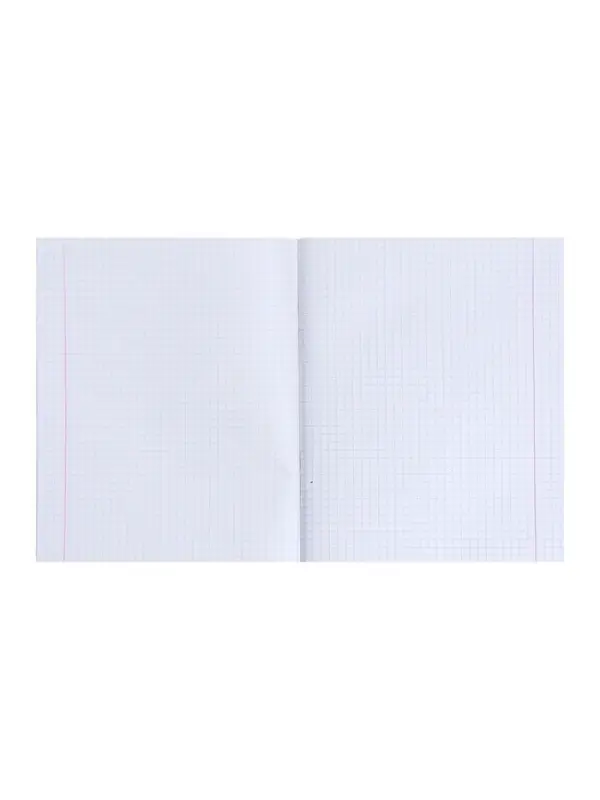 Тетрадь 48 листов в клетку Calligrata &laquo;Лисички&raquo;, обложка мелованная бумага, серые листы, МИКС