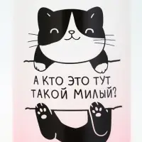 Бутылка для воды &laquo;Котя&raquo;, 300 мл