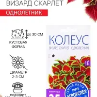 Семена цветов Колеус "Визард Скарлет", 10 шт