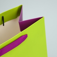 Пакет подарочный двухцветный, упаковка, &laquo;Салатовый-сиреневый&raquo;, MS 18 х 23 х 10 см