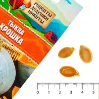Семена Тыква "Крошка", 1 г