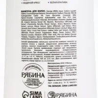 Шампунь для волос &laquo;Против перхоти&raquo;, 400 мл, BONAMI