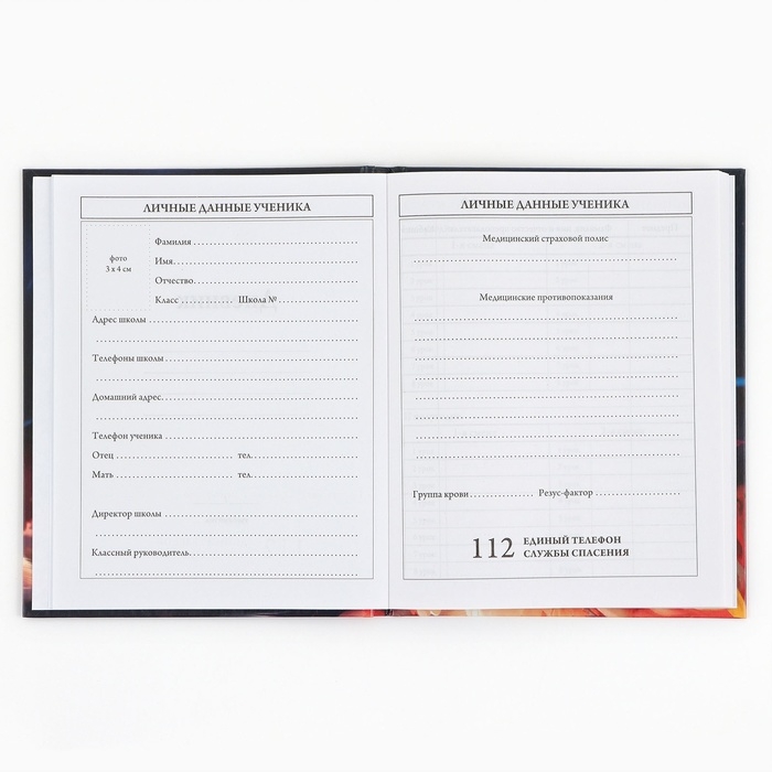 Дневник школьный 1-4 класса, в твердой обложке, 48 л &laquo;Рыжий котенок&raquo;