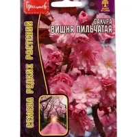 Семена цветов Сакура Вишня мелкопильчатая 5шт. / НОВИНКА  12.29 г.