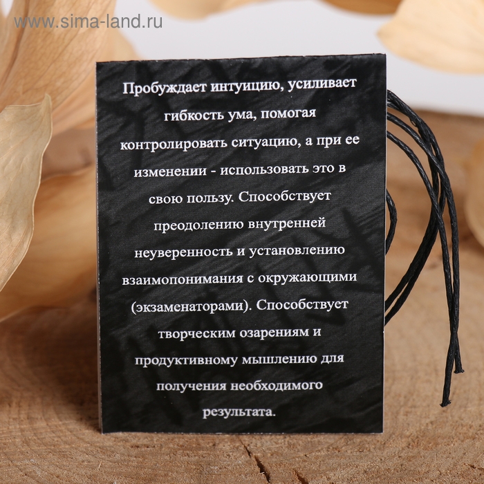 Руна &laquo;Успех на экзамене&raquo;, 68см