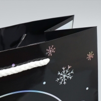 Пакет голографический &laquo;С любовью&raquo;, ML 23 х 27 х 11.5 см, Новый год