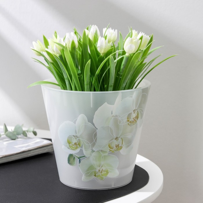 Кашпо для орхидей &laquo;Фиджи&raquo;, 1,6 л, дизайн МИКС