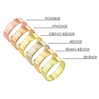 Новый год! Символ года 2025! Кольцо &laquo;Змея&raquo; ребристая, цвет золото, безразмерное