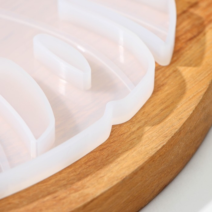 Молд Доляна &laquo;Тропики&raquo;, силикон, 24,5&times;17,5&times;1 см, прозрачный