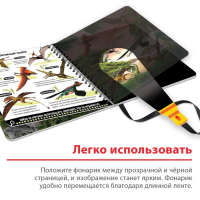 Секретная книга с волшебным фонариком &laquo;Диноленд&raquo;, 22 стр.