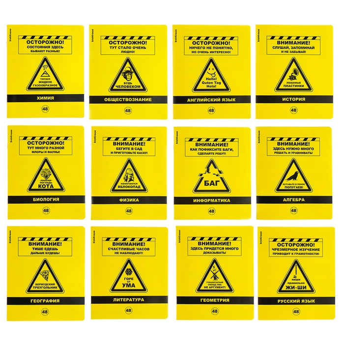 Комплект предметных тетрадей 48 листов, 12 штук, ErichKrause Be Informed, пластиковая обложка, шелкография, блок офсет 100% белизна, инфо-блок
