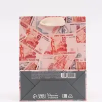 Пакет подарочный &laquo;Деньги&raquo;, S 12 &times; 15 &times; 5,5 см