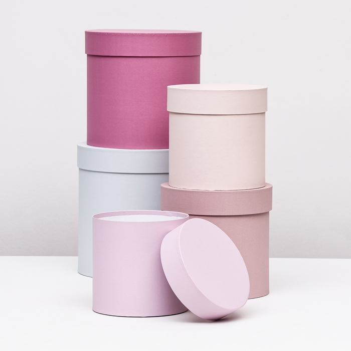 Набор шляпных коробок 5 в 1 Набор шляпных коробок 5 в 1" Нежность" , 23 х23 - 15 х 15 см