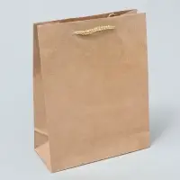 Пакет подарочный ламинированный, упаковка, &laquo;Крафт&raquo;, MS 18 х 23 х 8 см